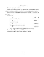 Referāts 'B6 vitamīna nepieciešamība uzturā', 3.