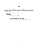 Referāts 'B6 vitamīna nepieciešamība uzturā', 5.