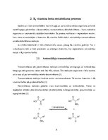 Referāts 'B6 vitamīna nepieciešamība uzturā', 8.