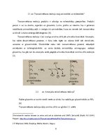 Referāts 'B6 vitamīna nepieciešamība uzturā', 9.