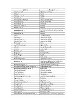 Konspekts 'Termini', 1.