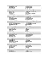 Konspekts 'Termini', 4.