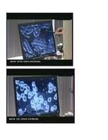 Konspekts 'Dzīvais ūdens', 5.