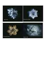 Konspekts 'Dzīvais ūdens', 6.