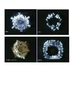 Konspekts 'Dzīvais ūdens', 8.