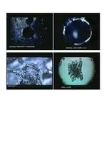 Konspekts 'Dzīvais ūdens', 10.