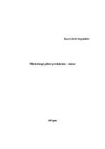 Referāts 'Mārketinga plāns produktam - maize', 1.