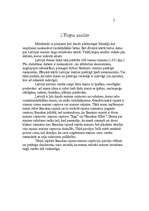 Referāts 'Mārketinga plāns produktam - maize', 3.