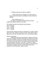 Referāts 'Mārketinga plāns produktam - maize', 6.