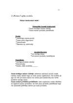 Referāts 'Mārketinga plāns produktam - maize', 12.