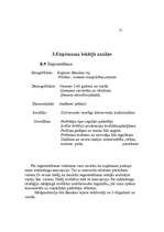 Referāts 'Mārketinga plāns produktam - maize', 14.