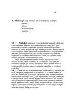 Referāts 'Mārketinga plāns produktam - maize', 17.