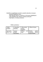 Referāts 'Mārketinga plāns produktam - maize', 21.