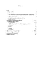 Referāts 'Mārketinga plāns produktam - maize', 28.