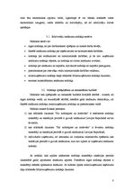 Referāts 'Iedzīvotāju ienākuma nodoklis Latvijas Republikā', 8.