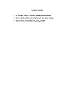 Eseja 'Mans pasaules uzskats un etniskā identitāte: kā es redzu sevi daudzkultūru sabie', 5.