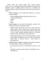 Referāts 'Latvijas un Vācijas kultūrpolitikas īstenošana', 13.