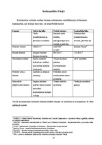 Referāts 'Latvijas un Vācijas kultūrpolitikas īstenošana', 16.