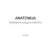 Prezentācija 'Konspekts ieskaitei treneriem anatomijā', 1.