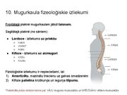 Prezentācija 'Konspekts ieskaitei treneriem anatomijā', 13.