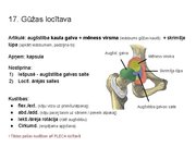 Prezentācija 'Konspekts ieskaitei treneriem anatomijā', 20.