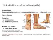 Prezentācija 'Konspekts ieskaitei treneriem anatomijā', 22.