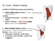 Prezentācija 'Konspekts ieskaitei treneriem anatomijā', 31.