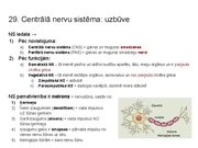 Prezentācija 'Konspekts ieskaitei treneriem anatomijā', 43.