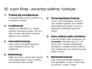 Prezentācija 'Konspekts ieskaitei treneriem anatomijā', 47.