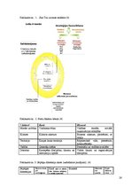 Referāts 'Ofensīvās un defensīvās mārketinga stratēģijas, to piemēri biznesa vidē', 26.