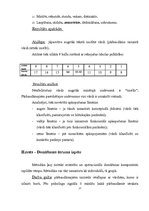 Prakses atskaite 'Psiholoģiskās izpētes prakses atskaite', 17.