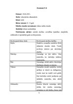 Prakses atskaite 'Psiholoģiskās izpētes prakses atskaite', 31.