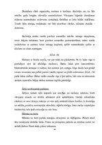 Prakses atskaite 'Psiholoģiskās izpētes prakses atskaite', 44.