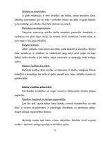 Prakses atskaite 'Psiholoģiskās izpētes prakses atskaite', 45.