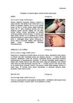 Diplomdarbs 'Starptautiski tiesisko pasākumu efektivitāte bioloģisko un toksisko ieroču izpla', 76.