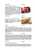 Diplomdarbs 'Starptautiski tiesisko pasākumu efektivitāte bioloģisko un toksisko ieroču izpla', 77.