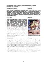 Diplomdarbs 'Starptautiski tiesisko pasākumu efektivitāte bioloģisko un toksisko ieroču izpla', 78.