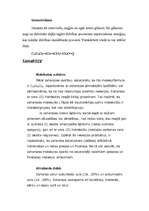 Konspekts 'Ogļhidrāti', 7.