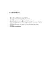 Referāts 'Ornaments tautas tērpā - vēsturiski etnogrāfiskās izpētes avots', 7.