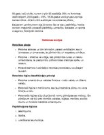 Konspekts 'Reklāmas, sabiedrisko attiecību vēsture', 14.