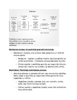 Konspekts 'Reklāmas, sabiedrisko attiecību vēsture', 18.