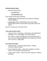 Konspekts 'Reklāmas, sabiedrisko attiecību vēsture', 20.