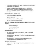 Konspekts 'Reklāmas, sabiedrisko attiecību vēsture', 26.