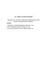 Eseja 'Globalizētais cilvēks - jaunas elites un marginalizēto tēls, paštēls globalizāci', 5.