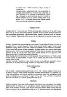 Konspekts 'Kuldīga', 3.