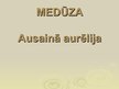 Prezentācija 'Medūzas. Ausainā aurēlija', 1.