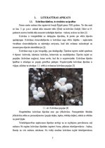 Diplomdarbs 'Kokokvilnas tekstiliju drukas pastu pētījumi', 7.