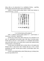 Diplomdarbs 'Kokokvilnas tekstiliju drukas pastu pētījumi', 8.