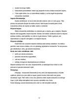 Referāts 'Starptautiskās uzņēmējdarbības būtība', 14.