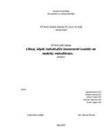 Referāts 'Cēloņi, kāpēc individuālie komersanti izvairās no nodokļu maksāšanas', 1.
